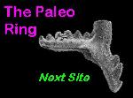 PaleoRing Next Site Web Link with  SEM photomicrograph of Pb element of Aphelognathus